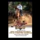SUGAR LITTLE STEP – First foal crop doing good in the show arena!