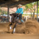 2022 NRHA/ARHA FUTURITY | WTC – Wr. Neudstadt | 17-20/08/2022