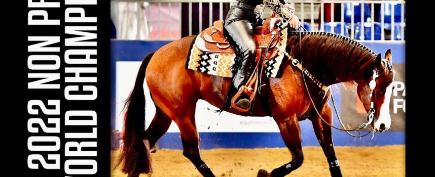 DANCE GOTTA GUN & Stephanie Blessing | newest 2022 NRHA Non Pro World Champions