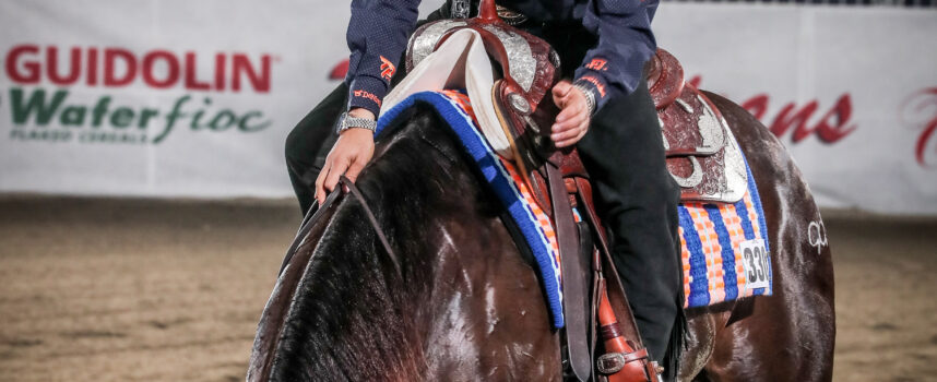 2023 NRHA/IRHA/IRHBA DERBY | 28/03/2023-01/04/2023 | Cremona, Italy