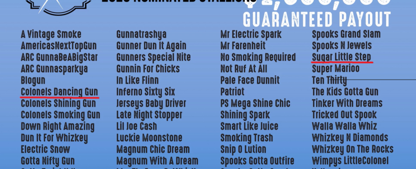 100Stakes | Sugar Little Step & Colonels Dancing Gun ENROLLED!