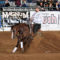 2019 NATIONAL REINING BREEDERS CLASSIC – April 14-21 2019 – Katy TX