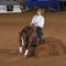 2019 NATIONAL REINING BREEDERS CLASSIC – April 14-21 2019 – Katy TX