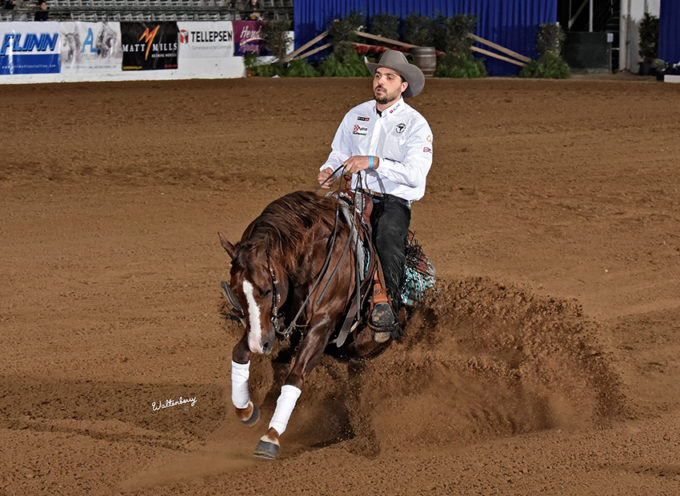 2019 NATIONAL REINING BREEDERS CLASSIC – April 14-21 2019 – Katy TX