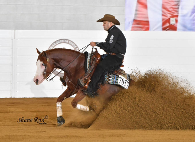 2019 All American Quarter Horse CONGRESS | 01-27/10/2019 | Columbus, OH (USA)