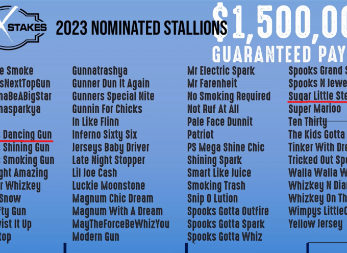 100Stakes | Sugar Little Step & Colonels Dancing Gun ENROLLED!