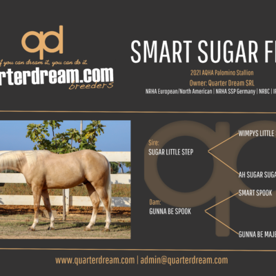 SMART SUGAR FREE