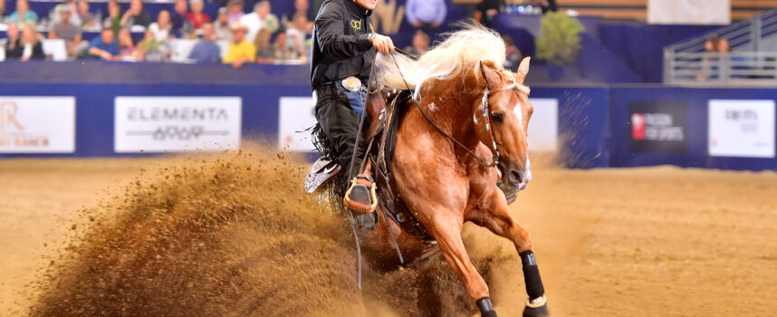 2023 EQUITA’ LYON – Run For A Million Qualifier | 30/10-05/11/2023 | Eurexpo Lyon