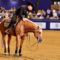 2023 EQUITA’ LYON – Run For A Million Qualifier | 30/10-05/11/2023 | Eurexpo Lyon
