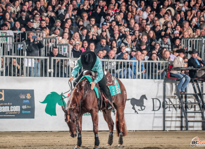 2023 NRHA/IRHA/IRHBA FUTURITY | 08-18/11/2023 | Cremona (CR)