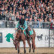 2023 NRHA/IRHA/IRHBA FUTURITY | 08-18/11/2023 | Cremona (CR)